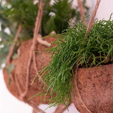 Natuerlich Mit Stil - 24-7 Und Check-in شقة *