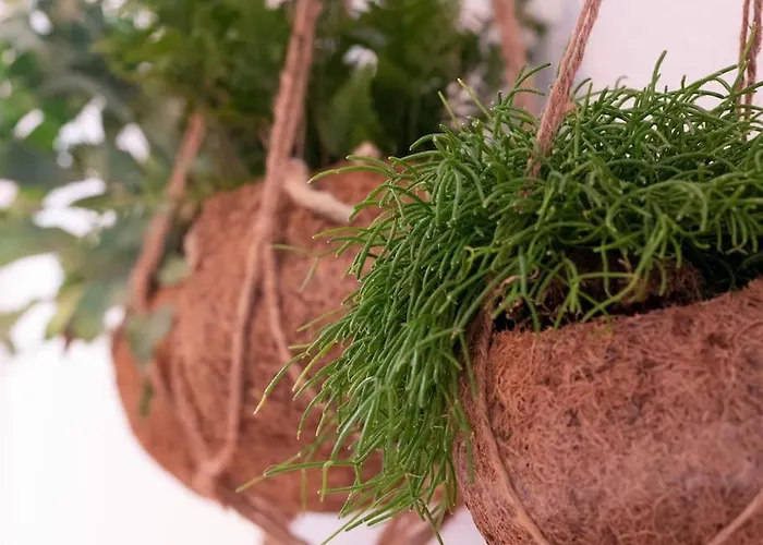 Natuerlich Mit Stil - 24-7 Und Check-in Appartement *